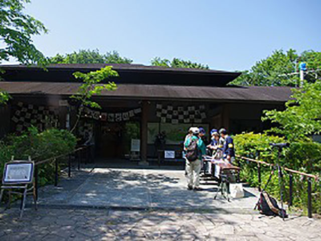 Yokohama Nature Sanctuary