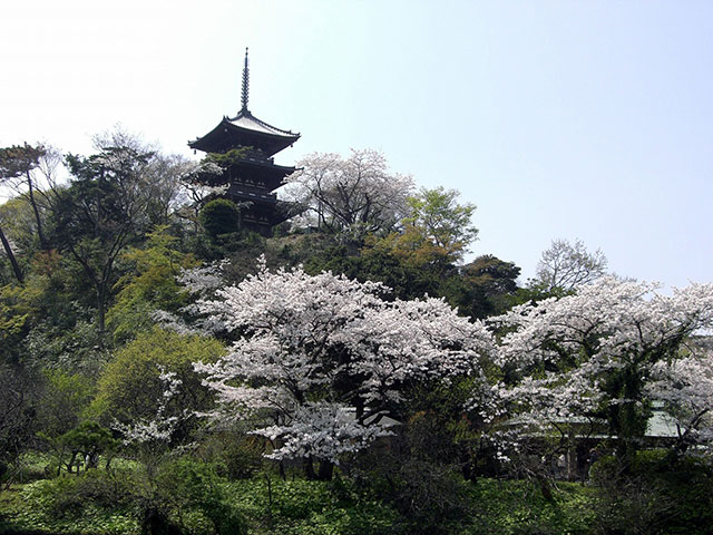 Sankeien Garden