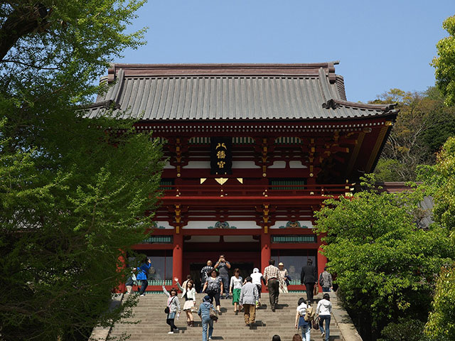 Kamakura Hachimangu Shrine